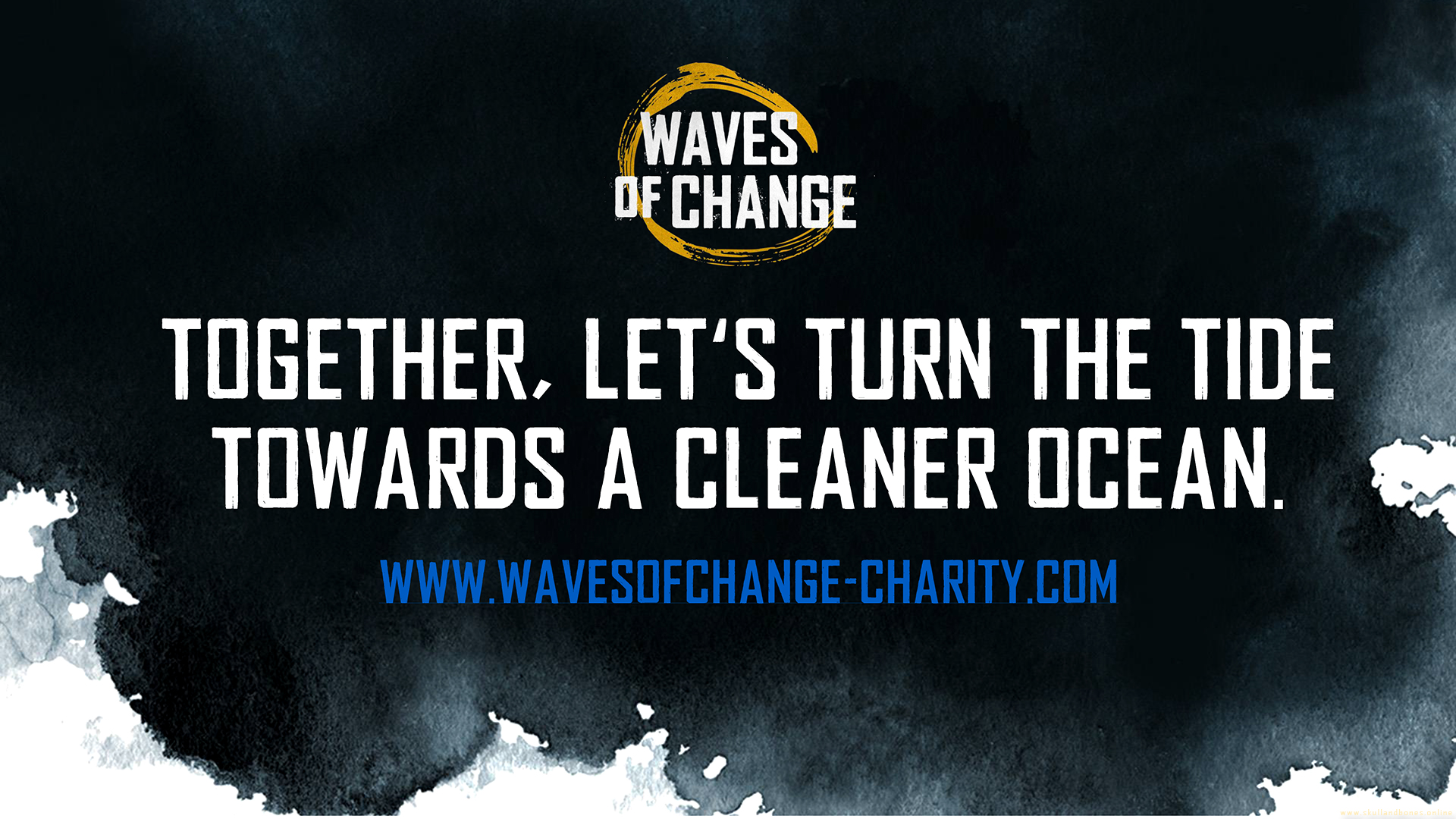 WAVES of CHANGE - Raise money and conserve the world's oceans